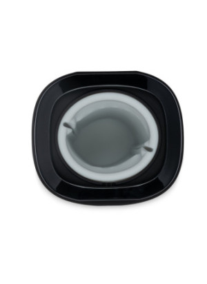 Onyx+ feel Asa Akira